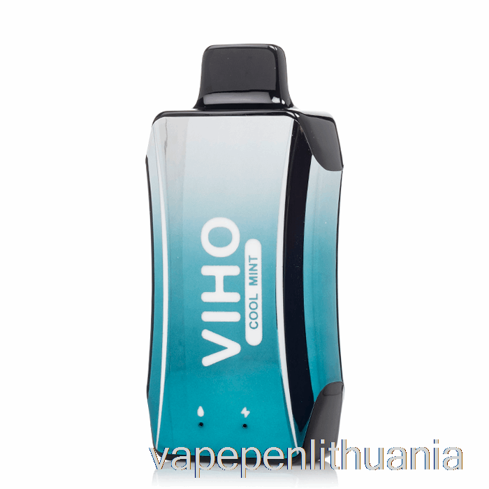 Viho Turbo 10000 Vienkartinis šaltas Mėtų Vape Skystis